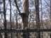 View full size picture