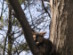 View full size picture
