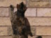 View full size picture