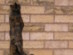 View full size picture
