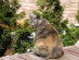View full size picture