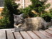 View full size picture