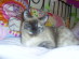 View full size picture