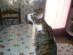 View full size picture