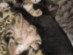 View full size picture