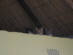 View full size picture