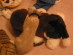 View full size picture