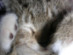 View full size picture