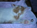 View full size picture
