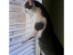 View full size picture