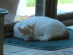 View full size picture