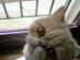 View full size picture