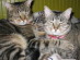 View full size picture