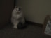 View full size picture