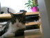 View full size picture