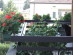 View full size picture
