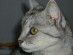View full size picture