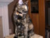 View full size picture