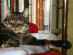 View full size picture