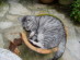 View full size picture