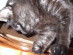 View full size picture