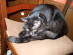 View full size picture