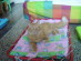 View full size picture