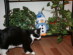 View full size picture