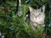 View full size picture