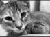 View full size picture