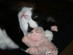 View full size picture
