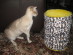 View full size picture