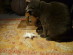 View full size picture