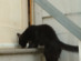 View full size picture