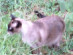 View full size picture