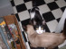 View full size picture