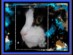 View full size picture
