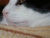 View full size picture