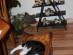 View full size picture