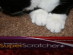 View full size picture