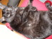 View full size picture
