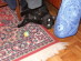 View full size picture