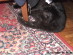 View full size picture