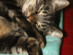 View full size picture
