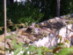 View full size picture