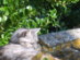 View full size picture