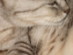 View full size picture