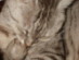 View full size picture