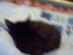 View full size picture