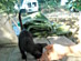 View full size picture
